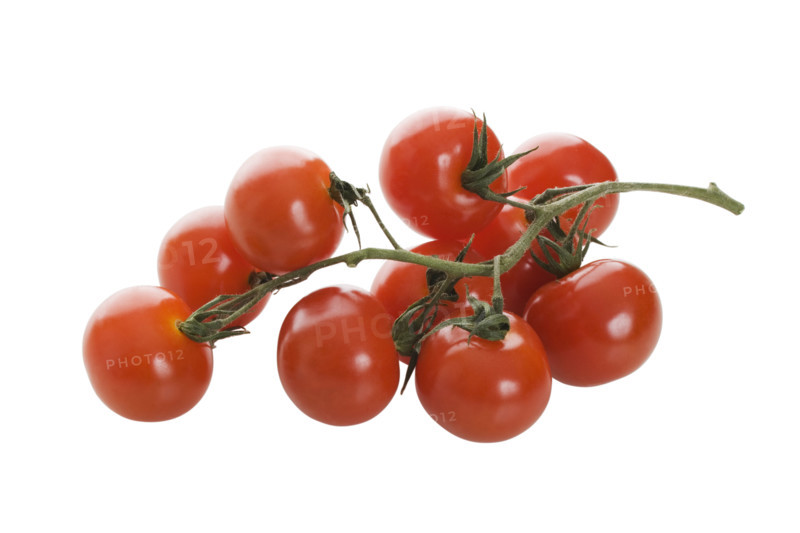 Close up of tomatoes on vine.