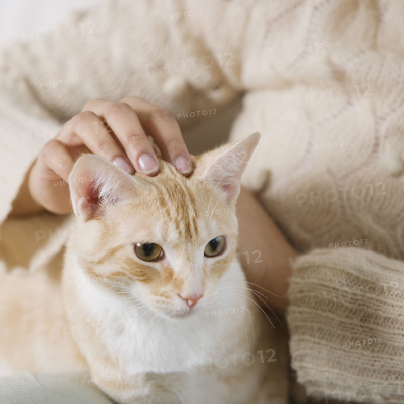 Indian woman petting cat.