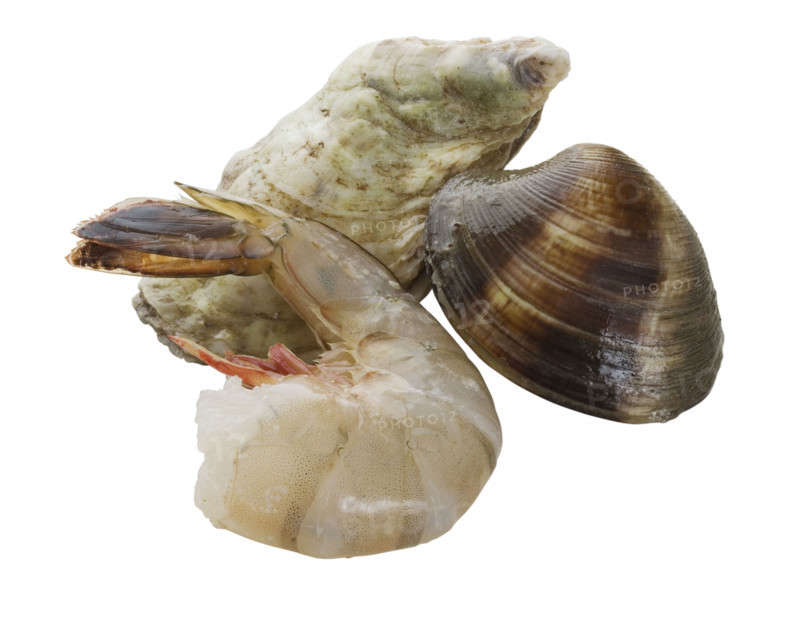 Close up of shrimp, oyster and clam.