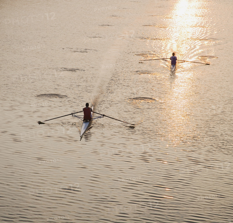 High angle view of people sculling.