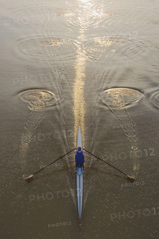 High angle view of person sculling.