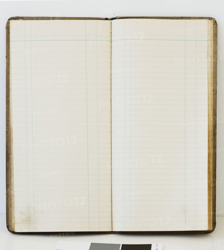 Blank open ledger book.