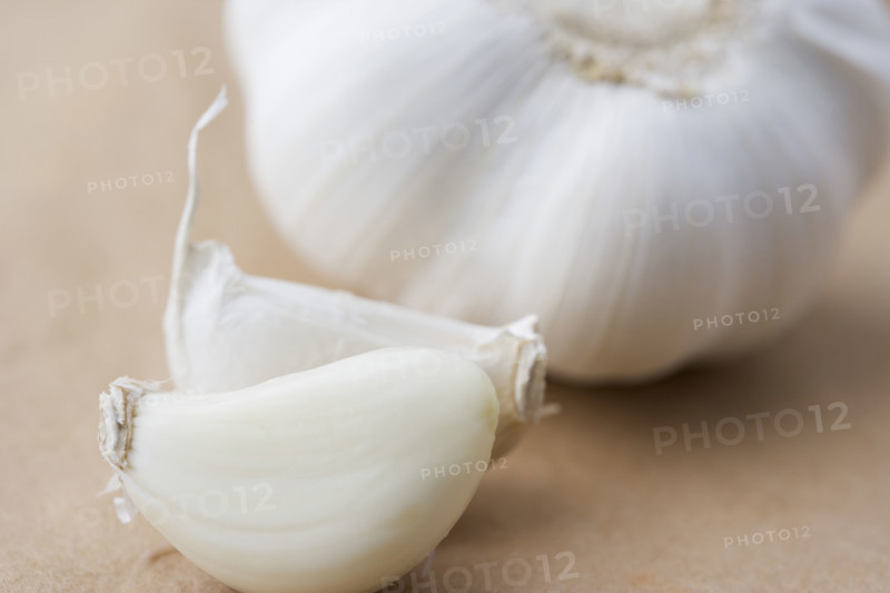 Still life of a clove of garlic. Date : 2006
