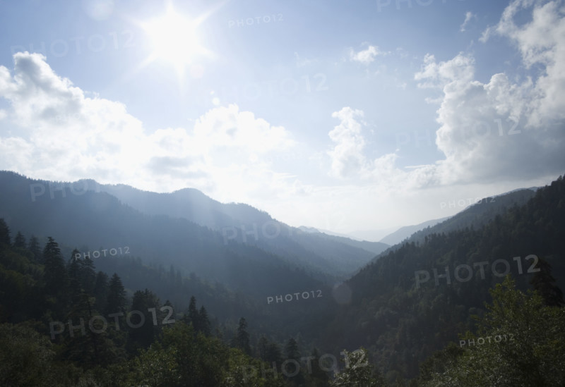 Smoky Mountain National Park USA. Date : 2006