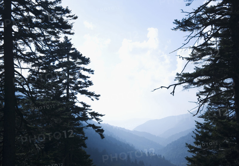 Smoky Mountain National Park USA. Date : 2006