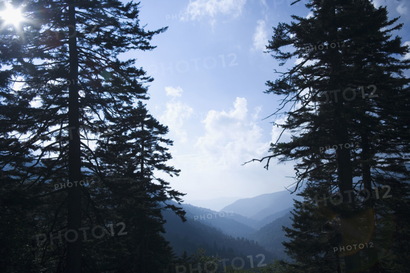 Smoky Mountain National Park USA. Date : 2006