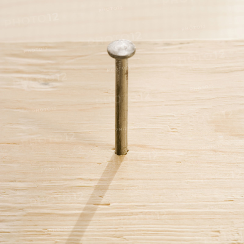Close up of nail in wood. Date : 2006