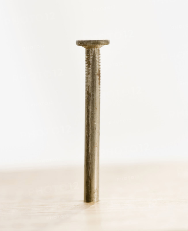 Close up of nail in wood. Date : 2006