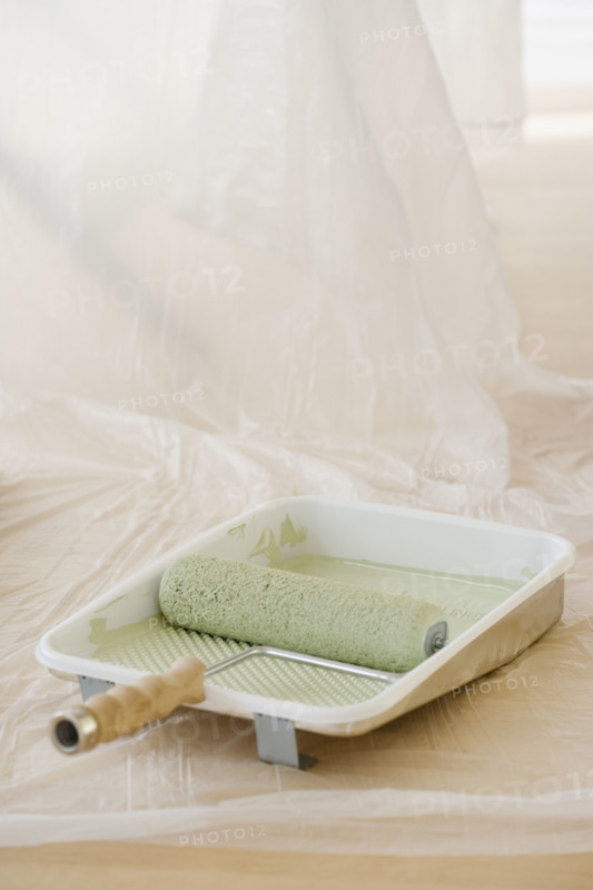 Close up of paint roller in tray. Date : 2006