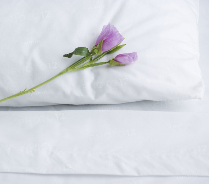 Closeup of pillow and bed sheets with  flower. Date : 2006