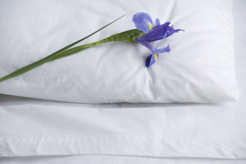 Closeup of pillow and bed sheets with  flower. Date : 2006