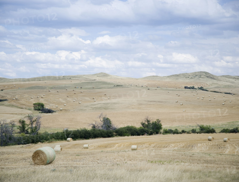 Hay bales southern Montana USA. Date : 2006