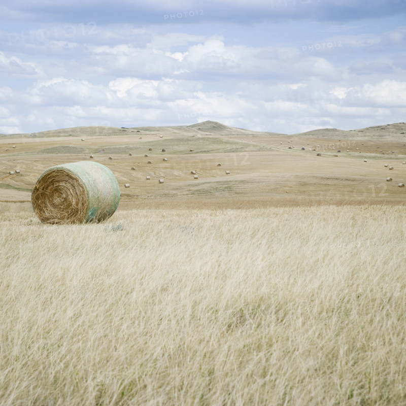 Hay bales southern Montana USA. Date : 2006