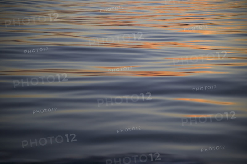 Close-up of water. Date : 2006