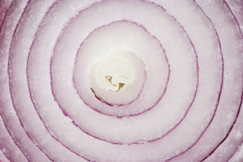 Still life of a slice of onion. Date : 2006