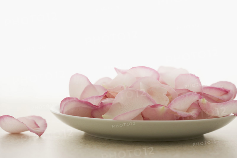 Plate of pink rose petals. Date : 2006