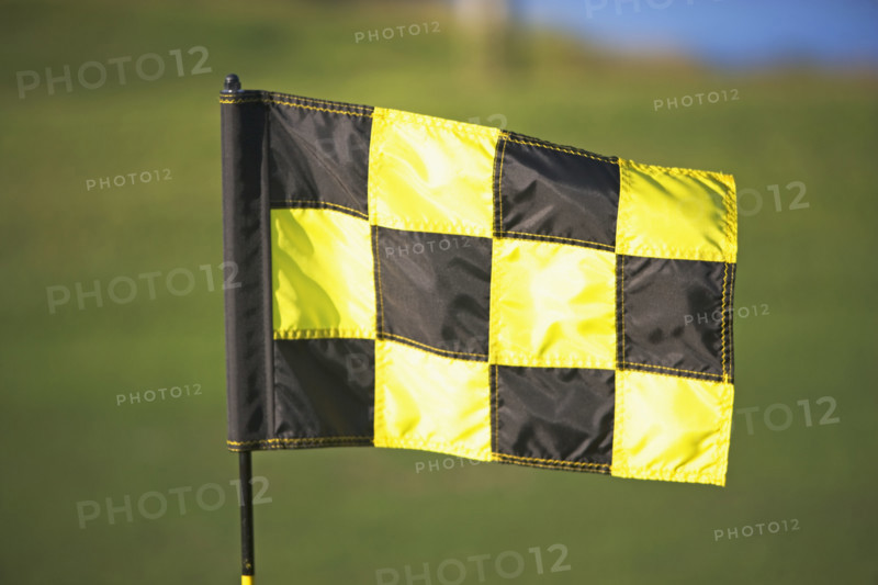 Black and yellow checkered flag. Date : 2007