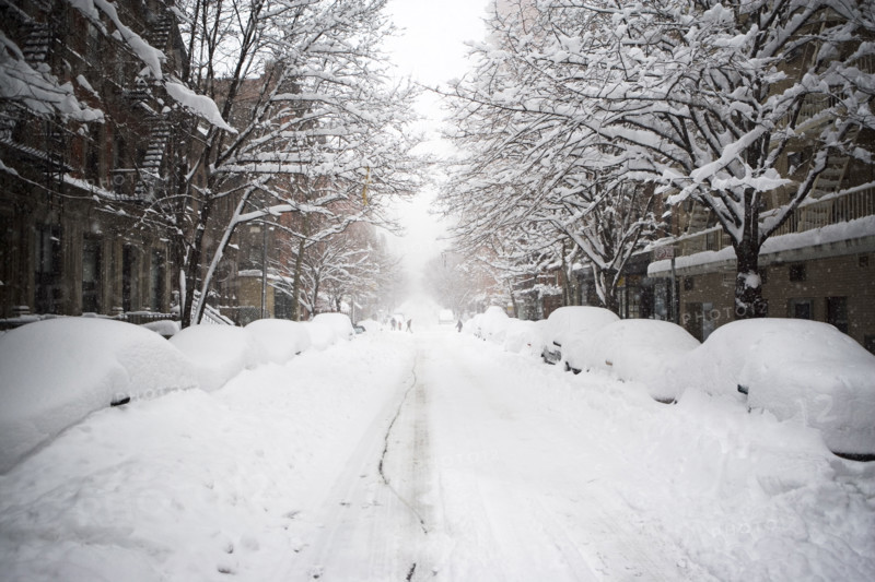 Snow covered street, New York City. Date : 2007