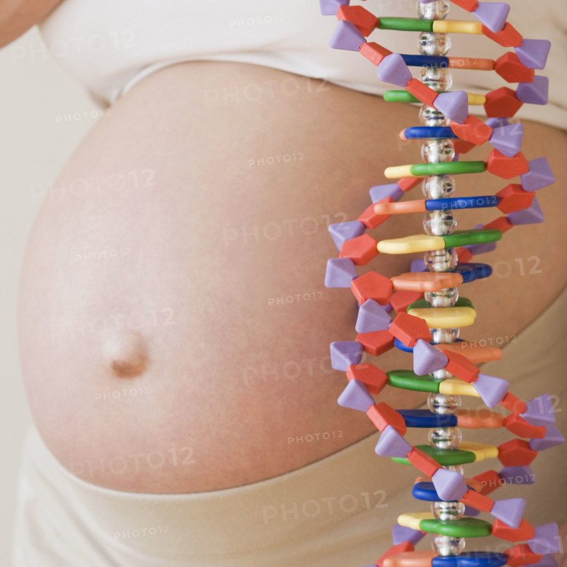 Pregnant woman next to DNA model. Date : 2007