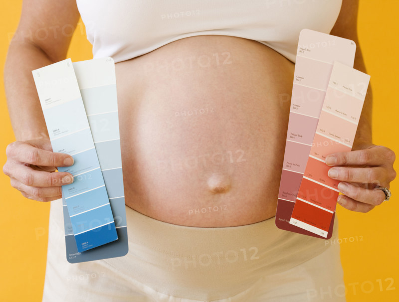 Pregnant woman holding paint swatches. Date : 2007
