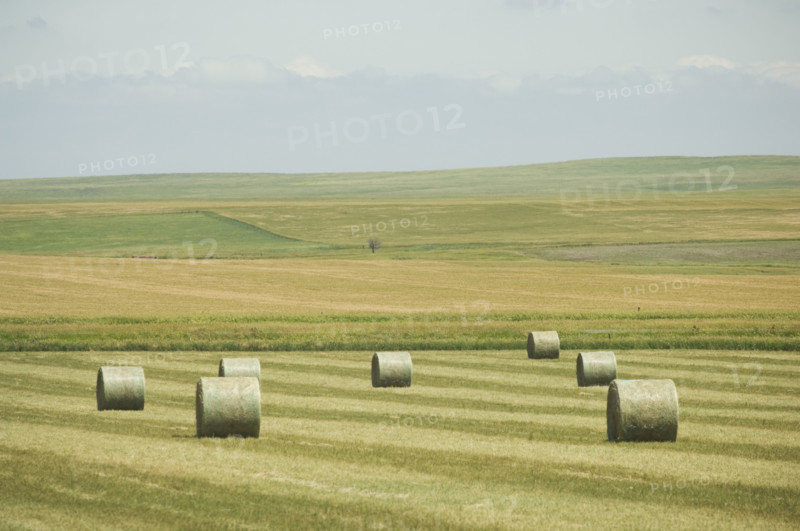 Hay bales in field. Date : 2007