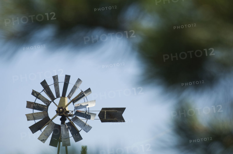 Close up of small windmill. Date : 2007