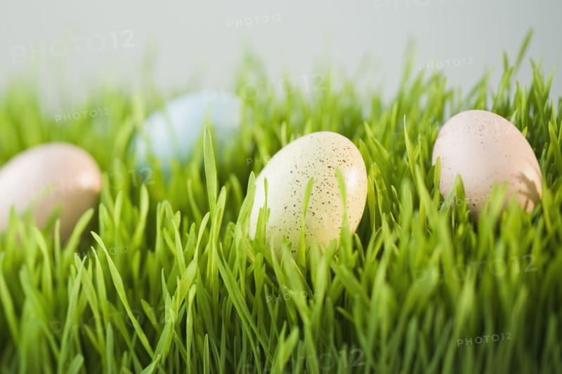 Decorated eggs in grass.