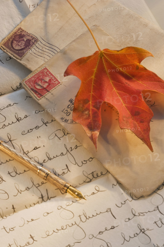 Autumn leaf on old-fashioned letters.