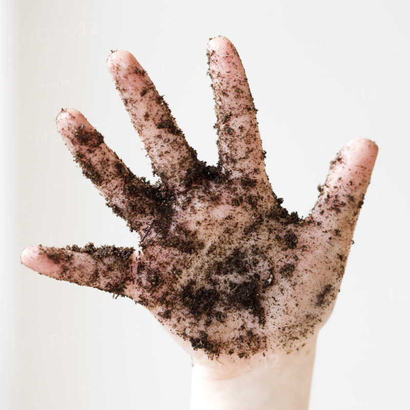 Close up of soil on child’s hand. Date : 2008