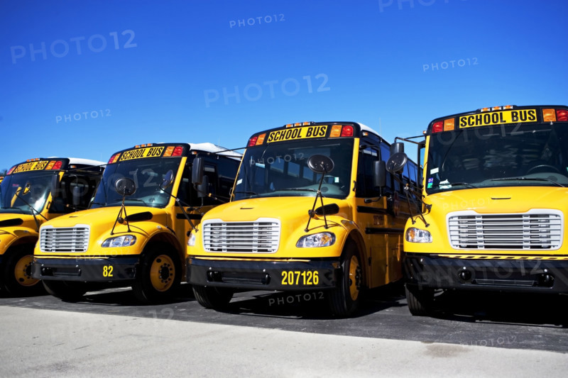 school buses in a row. Date : 2008