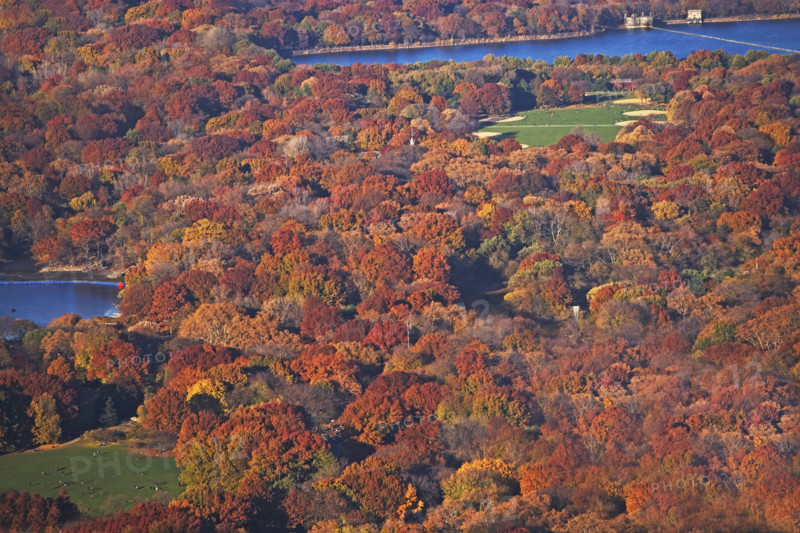 New York City, Central Park. Date : 2008