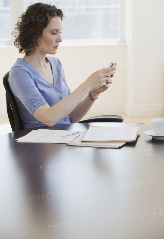 Businesswoman looking at electronic organizer.