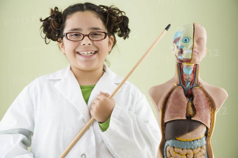 Girl pointing at human anatomy model. Date : 2008