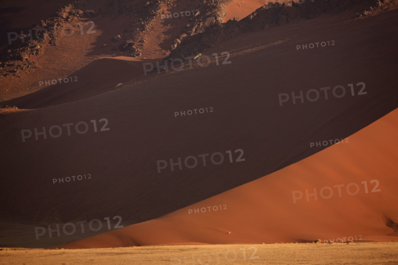 Shadow on sand dune, Namib Desert, Namibia, Africa. Date : 2008
