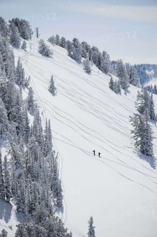 Skiers on mountain, Wasatch Mountains, Utah, United States. Date : 2008