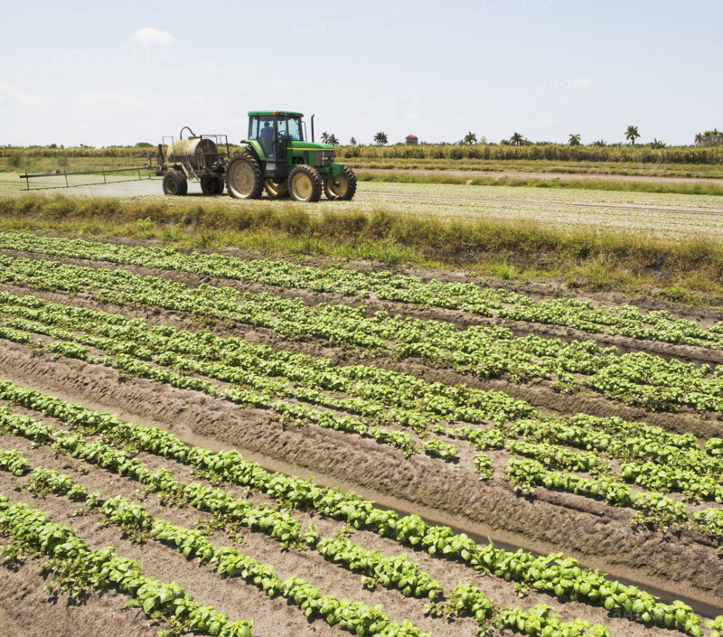 Tractor spraying field, Florida, United States. Date : 2008