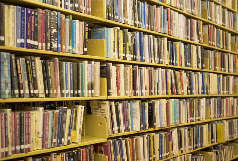 books on library shelves. Date : 2008