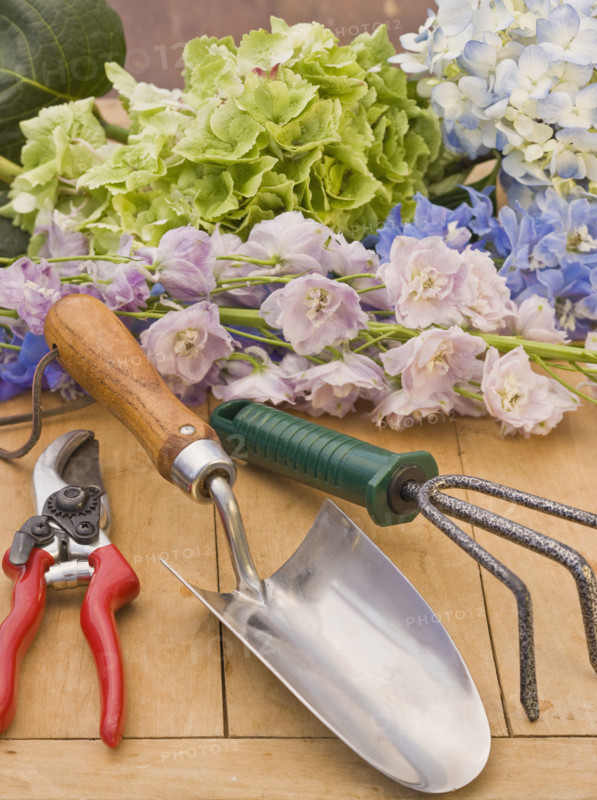 Flowers and gardening supplies.