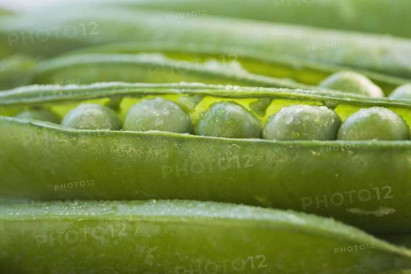 Close up peas in a pod.