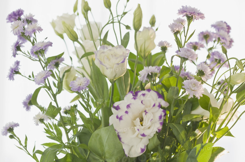 Close up of flowers.