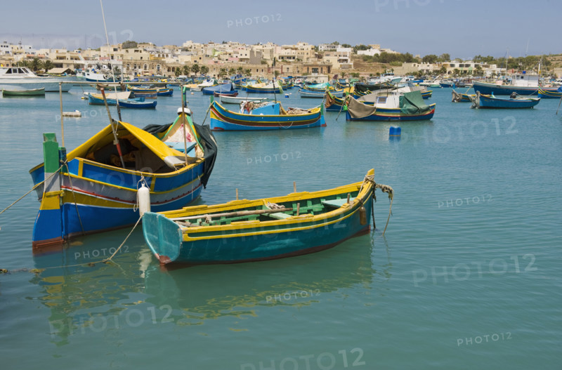 Fishing boats in harbor.