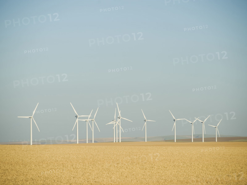 Row on windmills on wind farm. Date : 2008