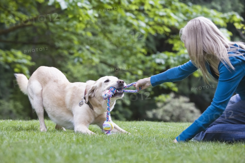 Girl playing tug-of-war with dog. Date : 2008