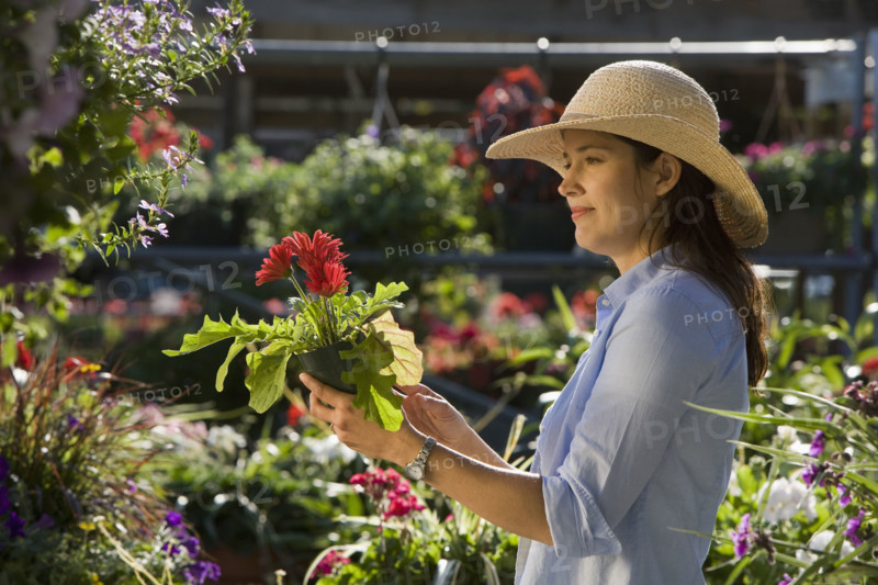 Woman shopping for flowers. Date : 2008