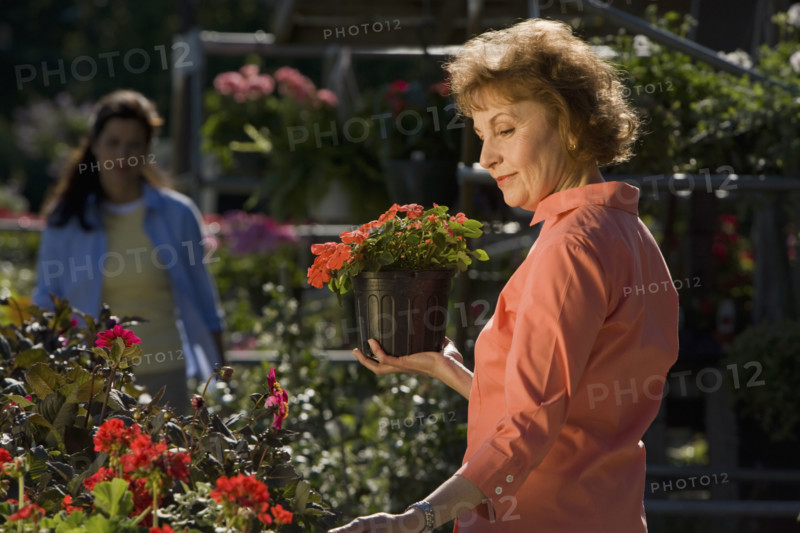 Woman shopping for flowers. Date : 2008