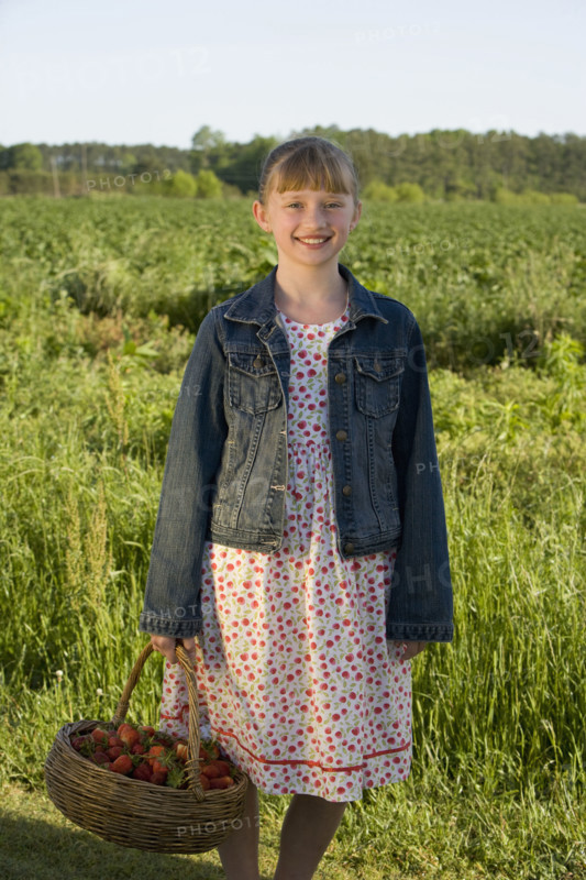 Girl picking strawberries. Date : 2008