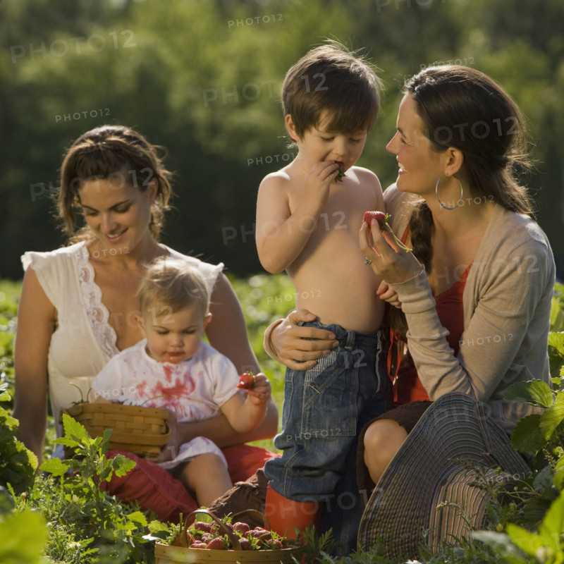 Mothers and children picking strawberries. Date : 2008