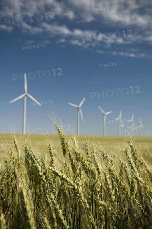 Windmills in a row on wind farm. Date : 2008