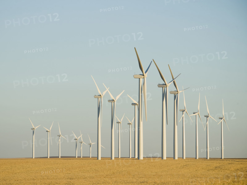 Rows of windmills on wind farm. Date : 2008