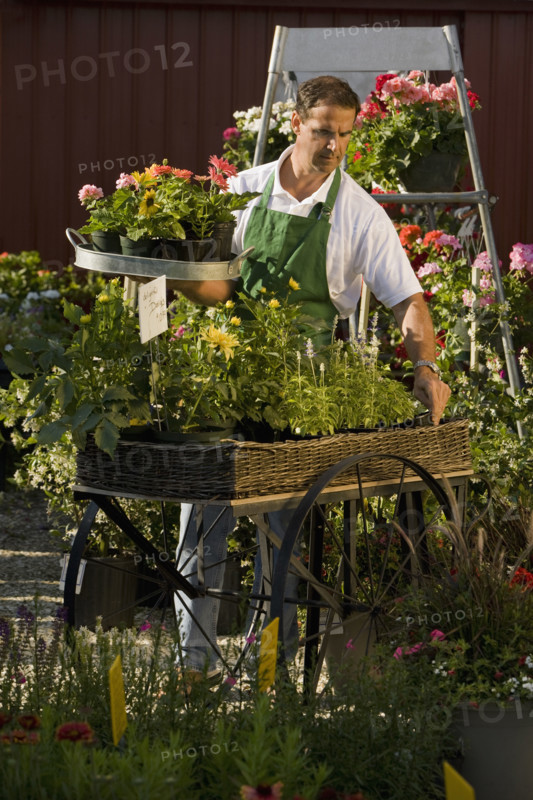 Man working in garden center. Date : 2008